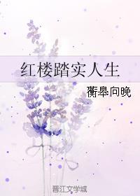 红楼梦之贾族少年