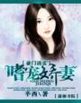 嗜宠豪门千金