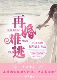 再婚也不错全文阅读